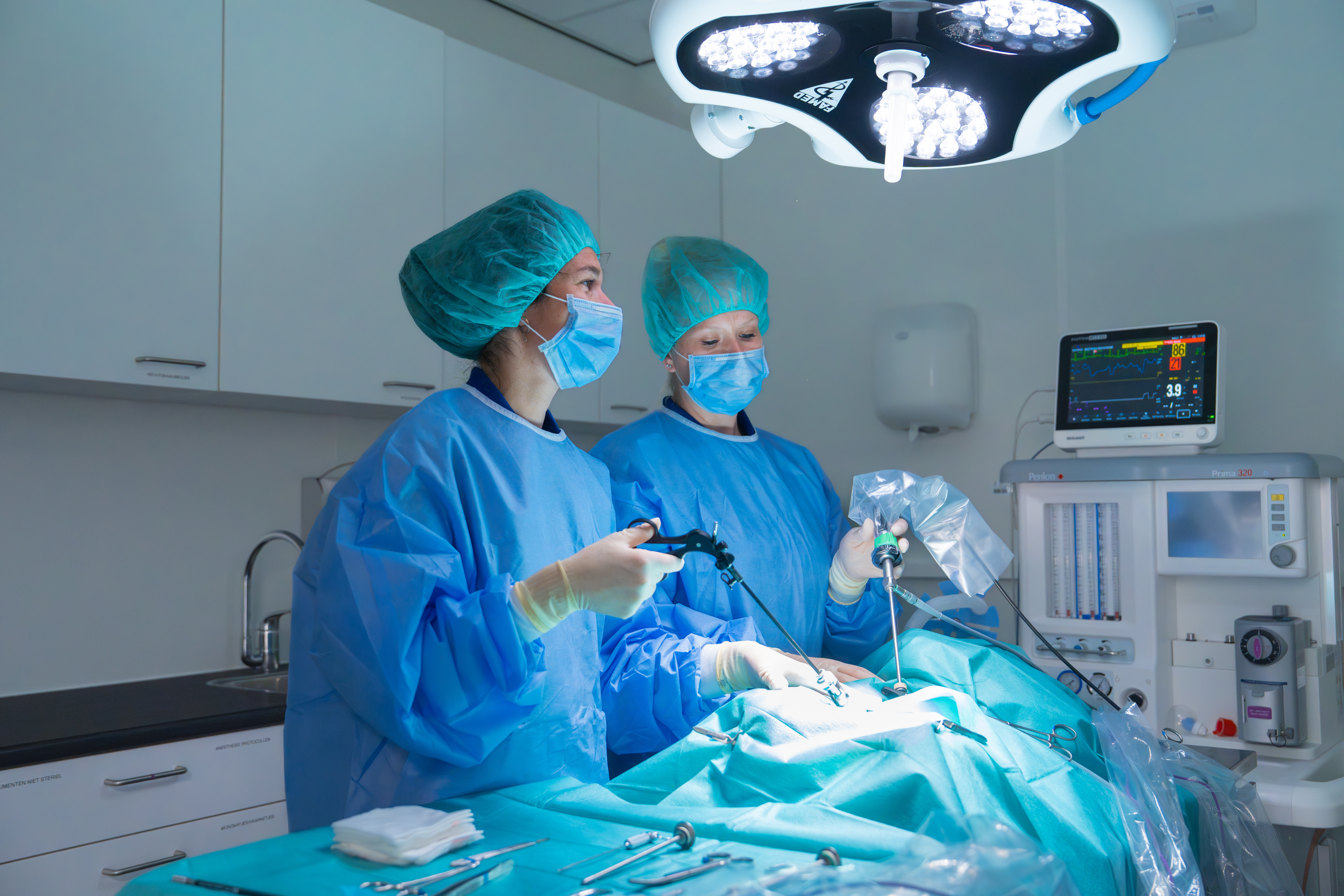 Operatie Ranzijn dierenarts